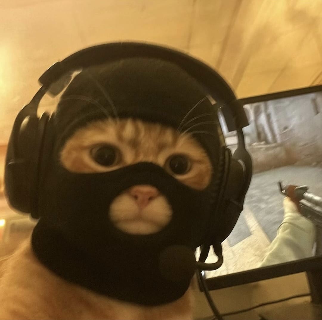 qweqwe